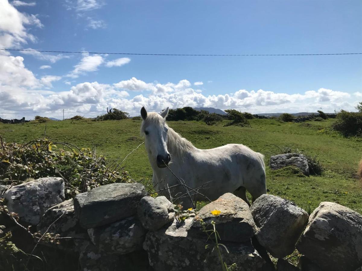 Kilronan Cottage Ballyconneely Buitenkant foto